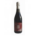 Dry sparkling wine red Lambrusco Emilia PGI