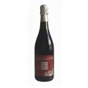 Trockener Sekt rot Wein Lambrusco Emilia IGP