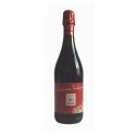 Dry sparkling wine red Lambrusco Emilia PGI