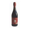 Sec pétillant vin Lambrusco rouge foncé