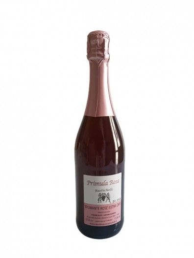 Dry sparkling wine red Lambrusco Emilia PGI