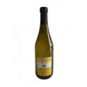 Vin blanc mousseux Marca Trevigiana IGT