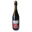 Mousseux sec rouge vin Lambrusco Emilia PGI
