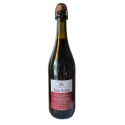 Seca chispeante rojo vino Lambrusco Emilia IGP