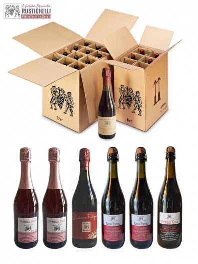 Verkostung Pack Lambrusco Emilia zu