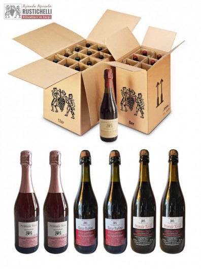 Verkostung Pack Lambrusco Emilia IGP Eco Party