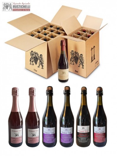 Verkostung Pack Lambrusco Emilia IGP Party