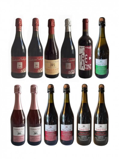 Verkostung Pack Lambrusco Emilia PDO g.g.a.