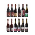 Degustación de Pack Lambrusco Emilia DOP IGP