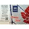 Vino Rosso Frizzante Amabile