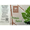 Dry sparkling wine red Lambrusco Emilia PGI