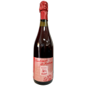 Dry sparkling wine Lambrusco Sorbara DOP